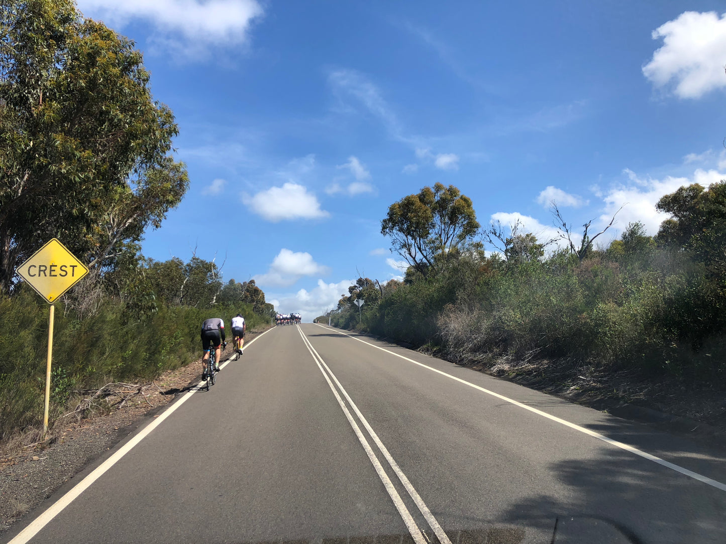 Sydney Road Bike Guided Ride - Full Day