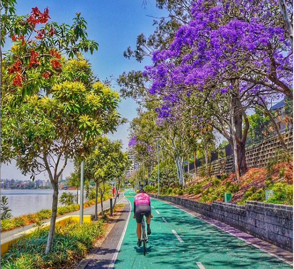 Brisbane Guided Road Bike Ride - 2 Hours